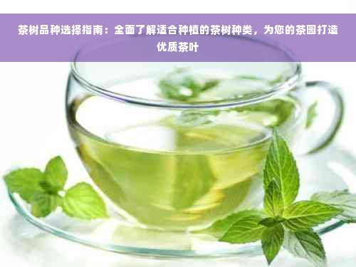 茶树品种选择指南：全面了解适合种植的茶树种类，为您的茶园打造优质茶叶