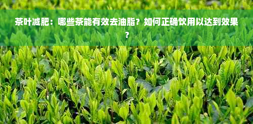 茶叶减肥：哪些茶能有效去油脂？如何正确饮用以达到效果？