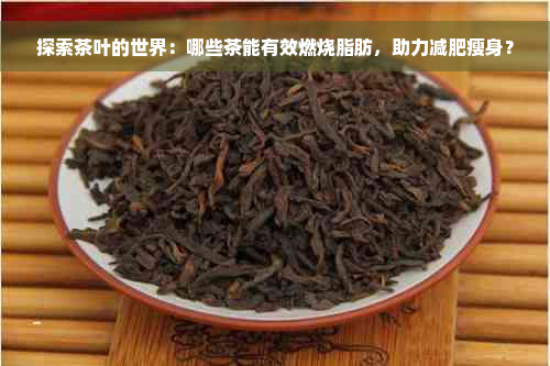 探索茶叶的世界：哪些茶能有效燃烧脂肪，助力减肥瘦身？