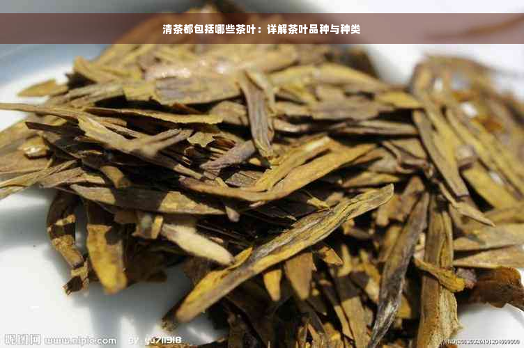 清茶都包括哪些茶叶：详解茶叶品种与种类