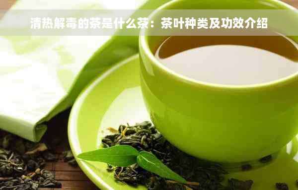 清热解毒的茶是什么茶：茶叶种类及功效介绍