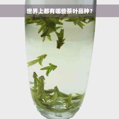 世界上都有哪些茶叶品种？