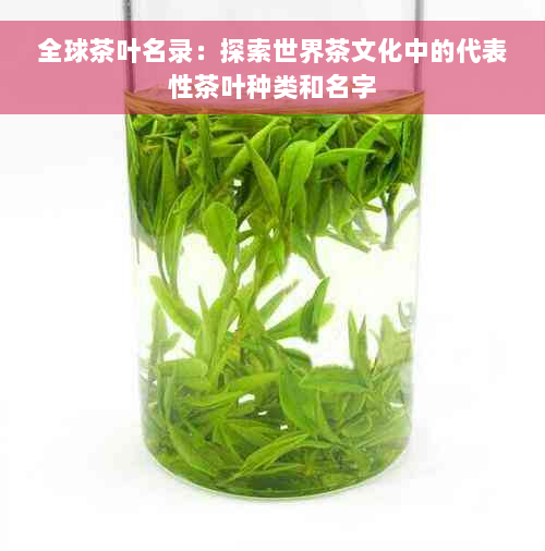 全球茶叶名录：探索世界茶文化中的代表性茶叶种类和名字