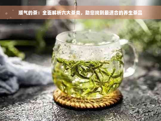 顺气的茶：全面解析六大茶类，助您找到最适合的养生茶品