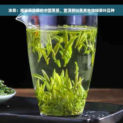 浓茶：揭秘高品质的中国黑茶、普洱茶以及其他独特茶叶品种