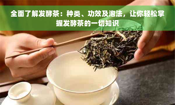 全面了解发酵茶：种类、功效及泡法，让你轻松掌握发酵茶的一切知识