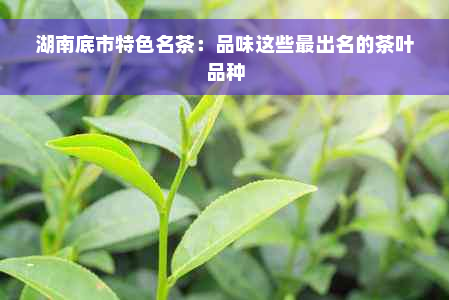 湖南底市特色名茶：品味这些最出名的茶叶品种