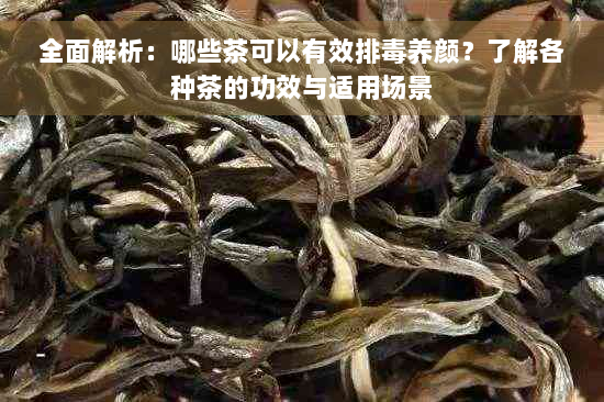 全面解析：哪些茶可以有效排毒养颜？了解各种茶的功效与适用场景