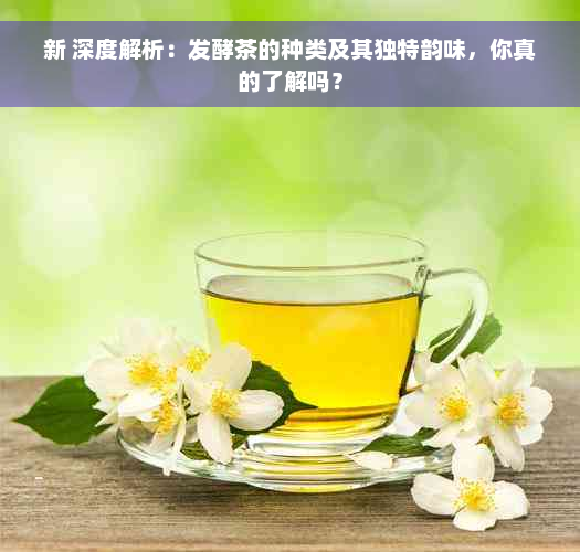 新 深度解析：发酵茶的种类及其独特韵味，你真的了解吗？