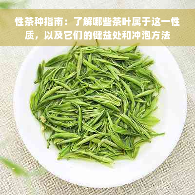 性茶种指南：了解哪些茶叶属于这一性质，以及它们的健益处和冲泡方法