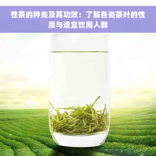 性茶的种类及其功效：了解各类茶叶的性质与适宜饮用人群