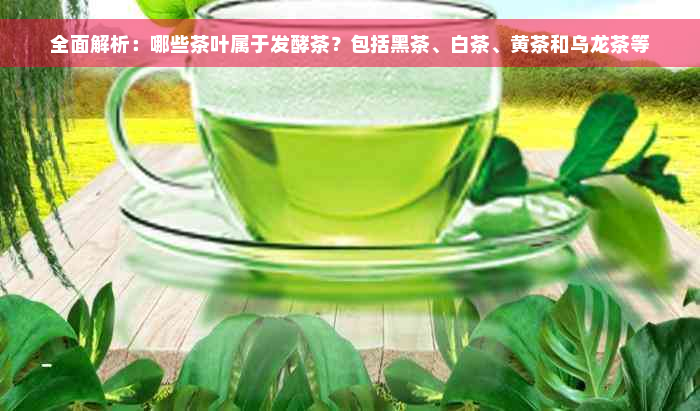 全面解析：哪些茶叶属于发酵茶？包括黑茶、白茶、黄茶和乌龙茶等