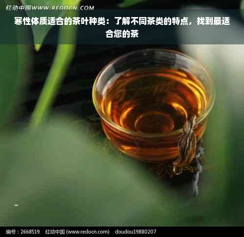 寒性体质适合的茶叶种类：了解不同茶类的特点，找到最适合您的茶