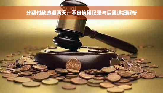 分期付款逾期两天：不良信用记录与后果详细解析