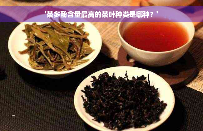 '茶多酚含量更高的茶叶种类是哪种？'