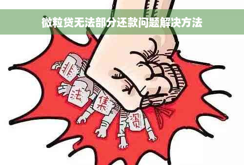 微粒贷无法部分还款问题解决方法