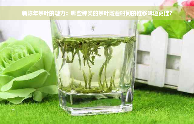 新陈年茶叶的魅力：哪些种类的茶叶随着时间的推移味道更佳？