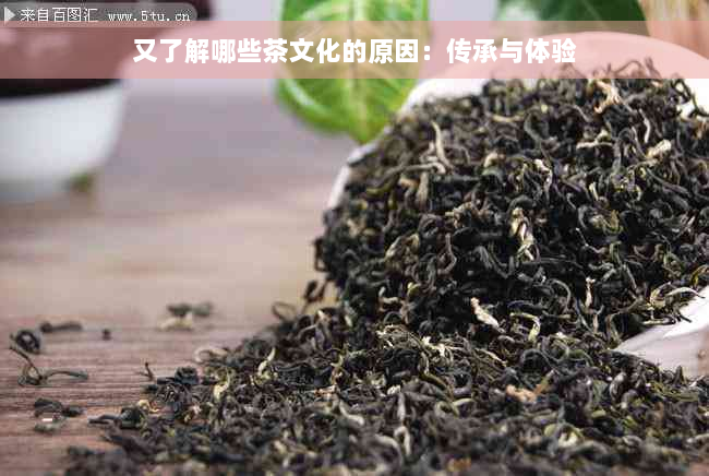 又了解哪些茶文化的原因：传承与体验