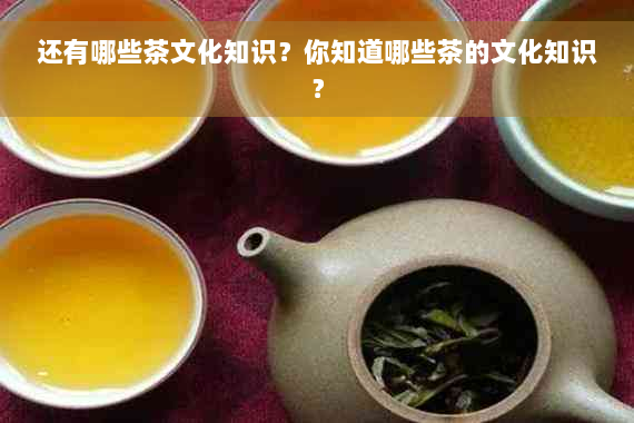 还有哪些茶文化知识？你知道哪些茶的文化知识？