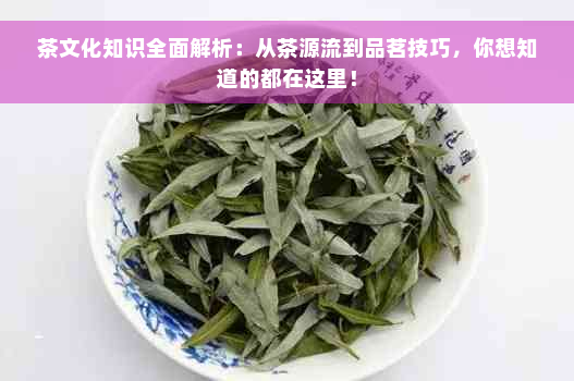 茶文化知识全面解析：从茶源流到品茗技巧，你想知道的都在这里！