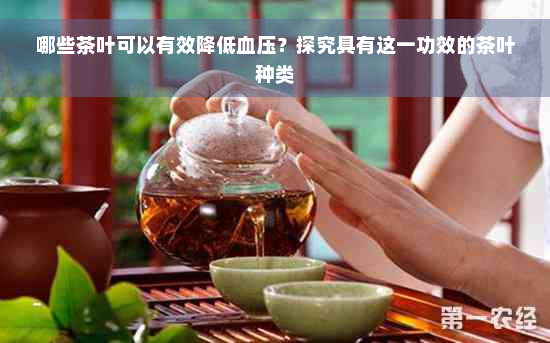 哪些茶叶可以有效降低血压？探究具有这一功效的茶叶种类