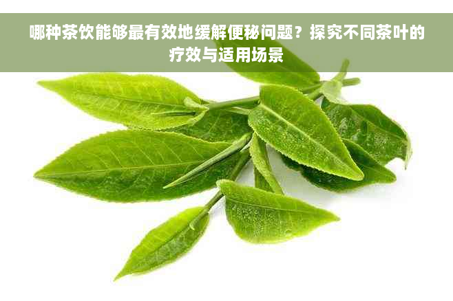 哪种茶饮能够最有效地缓解便秘问题？探究不同茶叶的疗效与适用场景