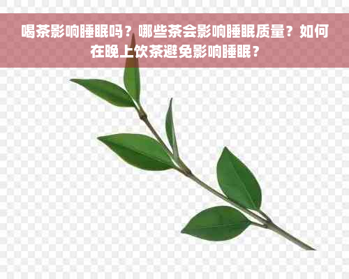 喝茶影响睡眠吗？哪些茶会影响睡眠质量？如何在晚上饮茶避免影响睡眠？