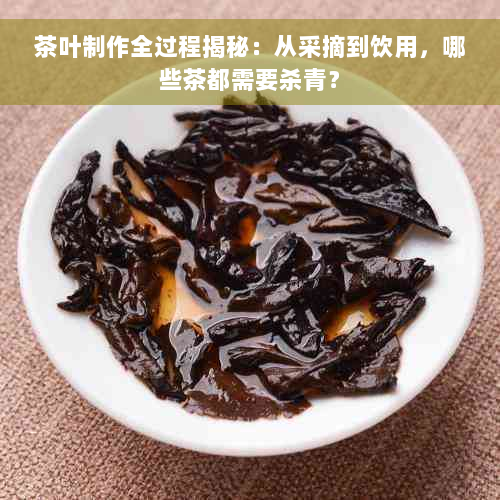 茶叶制作全过程揭秘：从采摘到饮用，哪些茶都需要杀青？