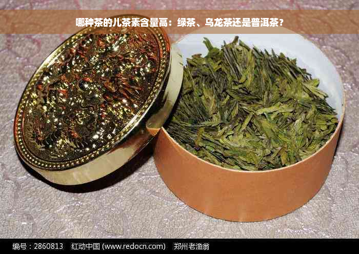 哪种茶的儿茶素含量高：绿茶、乌龙茶还是普洱茶？