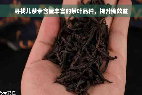 寻找儿茶素含量丰富的茶叶品种，提升健效益