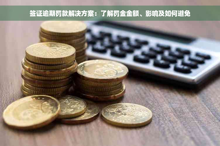 签证逾期罚款解决方案：了解罚金金额、影响及如何避免