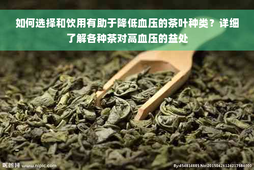 如何选择和饮用有助于降低血压的茶叶种类？详细了解各种茶对高血压的益处