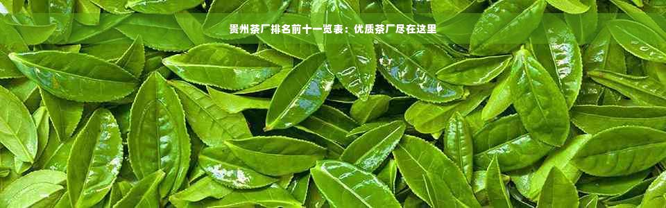 贵州茶厂排名前十一览表：优质茶厂尽在这里