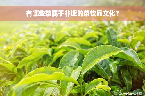 有哪些茶属于非遗的茶饮品文化？