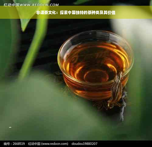 非遗茶文化：探索中国独特的茶种类及其价值