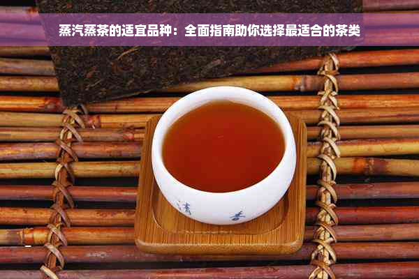 蒸汽蒸茶的适宜品种：全面指南助你选择最适合的茶类