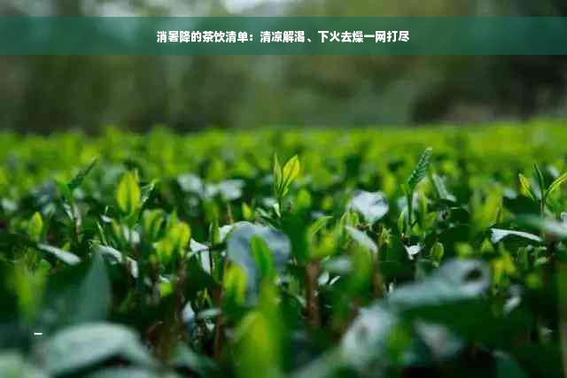 消暑降的茶饮清单：清凉解渴、下火去燥一网打尽