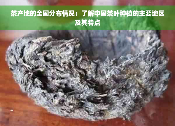 茶产地的全国分布情况：了解中国茶叶种植的主要地区及其特点