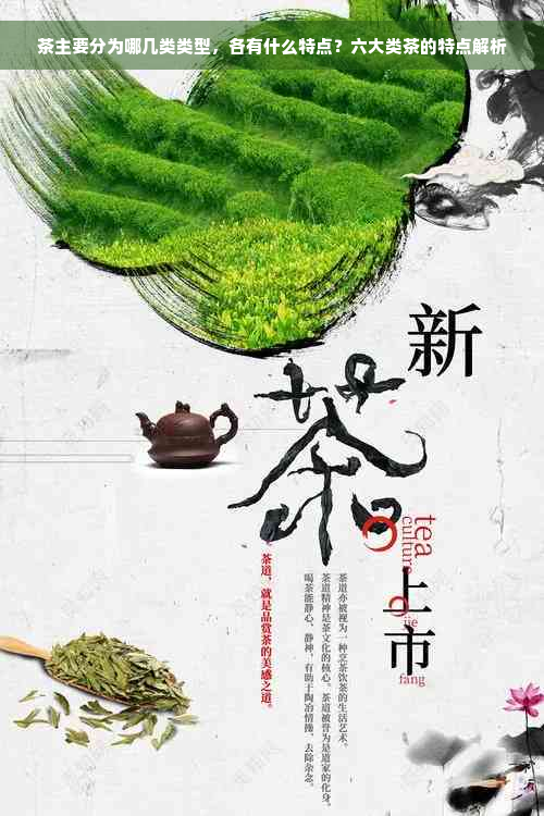 茶主要分为哪几类类型，各有什么特点？六大类茶的特点解析