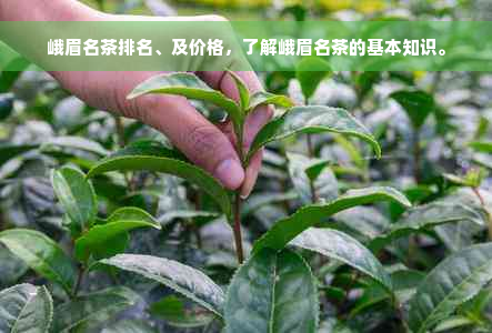 峨眉名茶排名、及价格，了解峨眉名茶的基本知识。