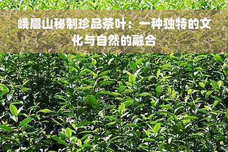 峨眉山秘制珍品茶叶：一种独特的文化与自然的融合