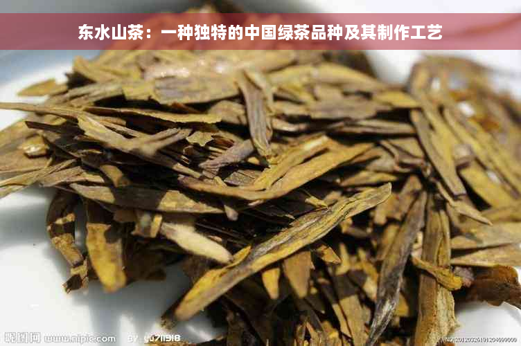 东水山茶：一种独特的中国绿茶品种及其制作工艺