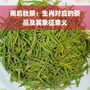 雨后秋茶：生肖对应的茶品及其象征意义