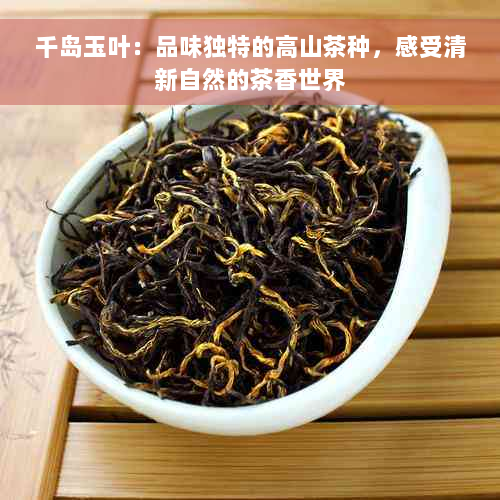 千岛玉叶：品味独特的高山茶种，感受清新自然的茶香世界