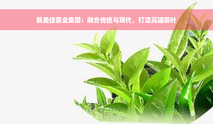 馥美佳茶业集团：融合传统与现代，打造高端茶叶