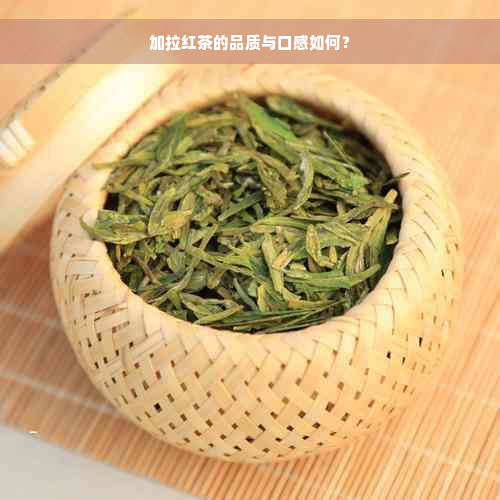 加拉红茶的品质与口感如何？