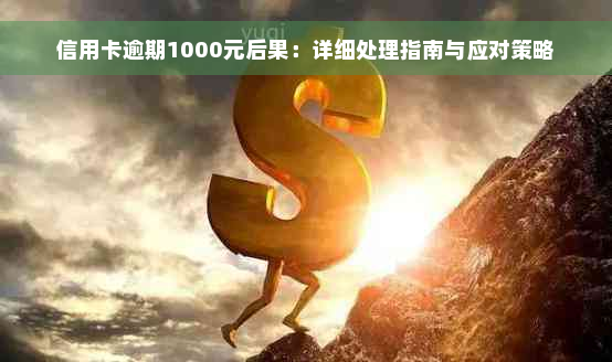 信用卡逾期1000元后果：详细处理指南与应对策略