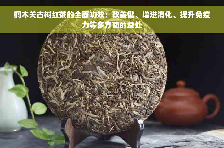 桐木关古树红茶的全面功效：改善健、增进消化、提升免疫力等多方面的益处