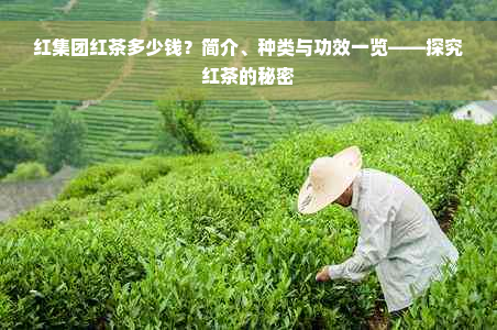 红集团红茶多少钱？简介、种类与功效一览——探究红茶的秘密