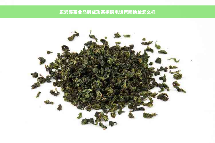 正岩溪茶业马到成功茶招聘电话官网地址怎么样